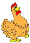 gallina gialla.JPG (47551 byte)