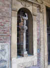 Gallo_di_San_Pietro.jpg (67383 byte)
