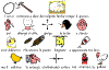 pulcino2.GIF (22136 byte)