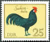 DDR Sachsenhuhn 25.jpg (92872 byte)