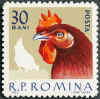 Romania 1963 30 bani.jpg (95294 byte)