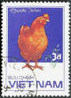 Vietnam Gallina Rhode Island red 1.jpg (38968 byte)