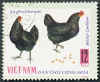 Vietnam Galline nere.jpg (51157 byte)