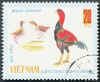 Vietnam Gallo Malese.jpg (42042 byte)