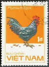 Vietnam Gallo Plymouth Rock barrato.jpg (37024 byte)