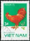Vietnam Gallo Rhode Island red.jpg (38202 byte)