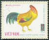 Vietnam Gallo fulvo.jpg (48247 byte)
