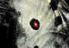 Parnassius_apollo_3.jpg (93476 byte)