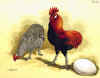 Gallus ecaudatus.jpg (85682 byte)