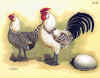 Nana olandese spruzzata argento.jpg (106766 byte)