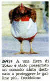 gallina_freddolosa.jpg (35106 byte)