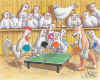 gallo_volpe_pingpong.jpg (152288 byte)