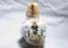 008fig002 pulc cornish doppio orlo 2.jpg (57408 byte)