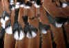 014fig001 nana calzata millefiori maschio 4.jpg (77588 byte)